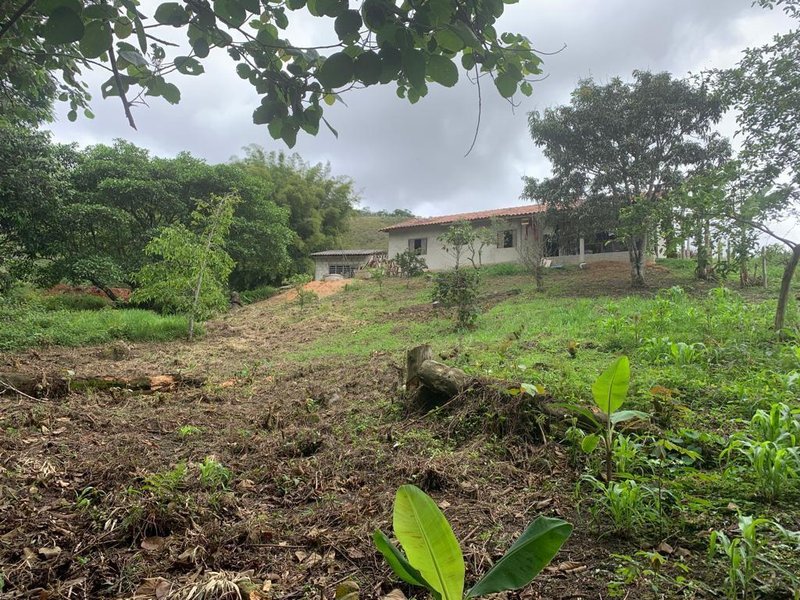 SITIO COM 3 ALQUEIRES EM SÃO FRANCISCO XAVIER SP - SAO FRANCISCO - 