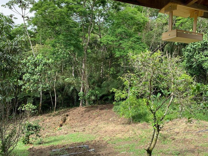 SITIO COM 3 ALQUEIRES EM SÃO FRANCISCO XAVIER SP - SAO FRANCISCO - 