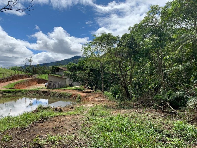 SITIO COM 3 ALQUEIRES EM SÃO FRANCISCO XAVIER SP - SAO FRANCISCO - 