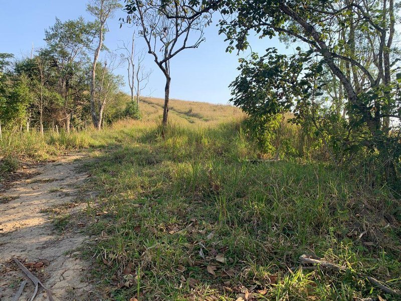 SITIO COM 3 ALQUEIRES EM SÃO FRANCISCO XAVIER SP - SAO FRANCISCO - 