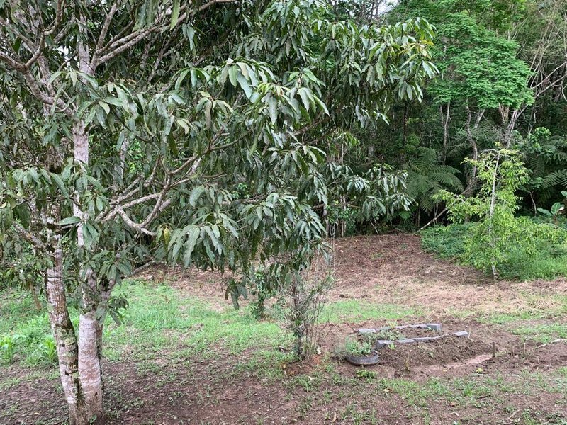 SITIO COM 3 ALQUEIRES EM SÃO FRANCISCO XAVIER SP - SAO FRANCISCO - 