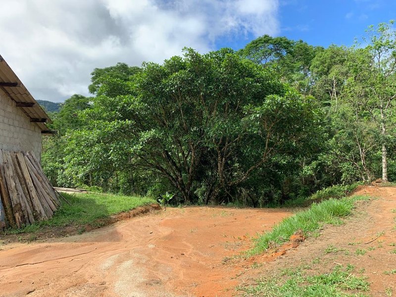 SITIO COM 3 ALQUEIRES EM SÃO FRANCISCO XAVIER SP - SAO FRANCISCO - 