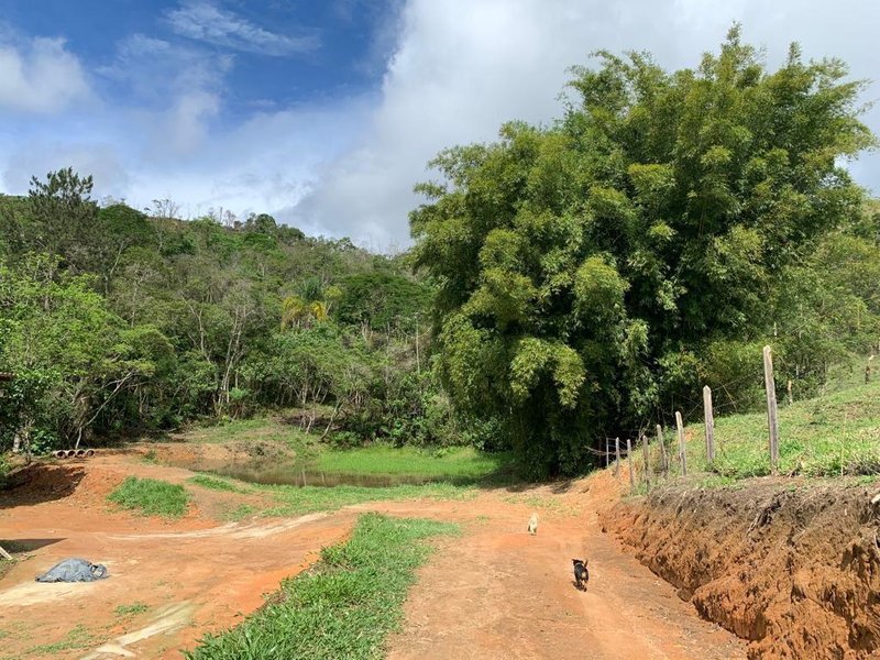 SITIO COM 3 ALQUEIRES EM SÃO FRANCISCO XAVIER SP - SAO FRANCISCO - 