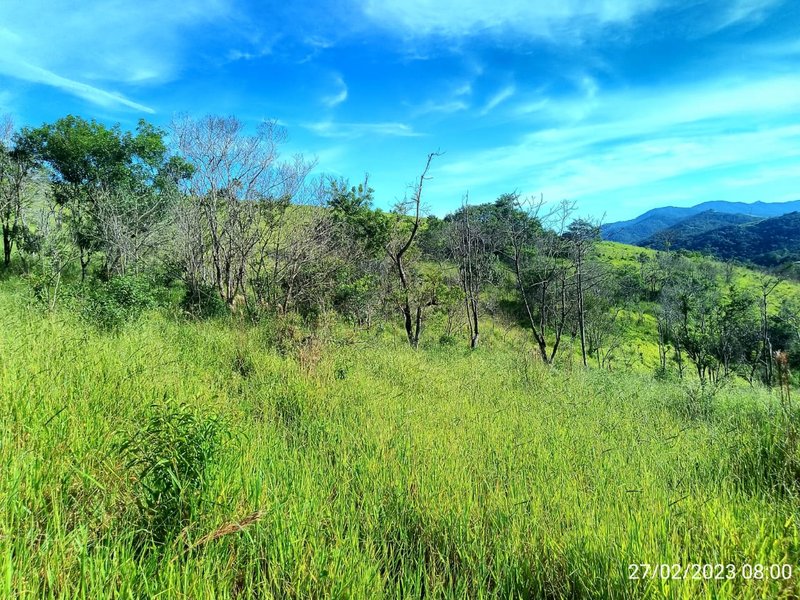 AREA COM 11.5 ALQUEIRES EM MONTEIRO LOBATO SP - MONTEIRO LOBATO - 
