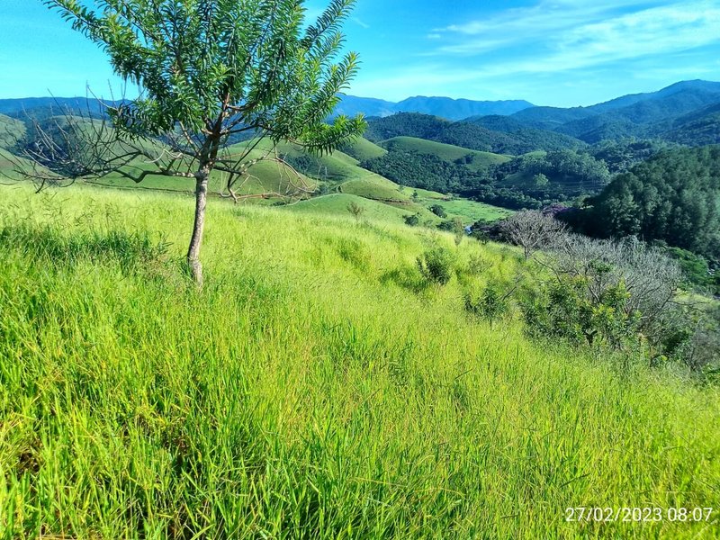 AREA COM 11.5 ALQUEIRES EM MONTEIRO LOBATO SP - MONTEIRO LOBATO - 