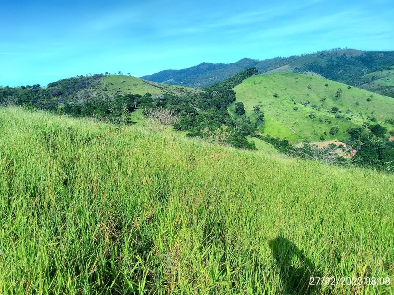 AREA COM 11.5 ALQUEIRES EM MONTEIRO LOBATO SP - MONTEIRO LOBATO - 