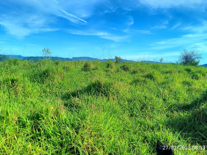 AREA COM 11.5 ALQUEIRES EM MONTEIRO LOBATO SP - MONTEIRO LOBATO - 