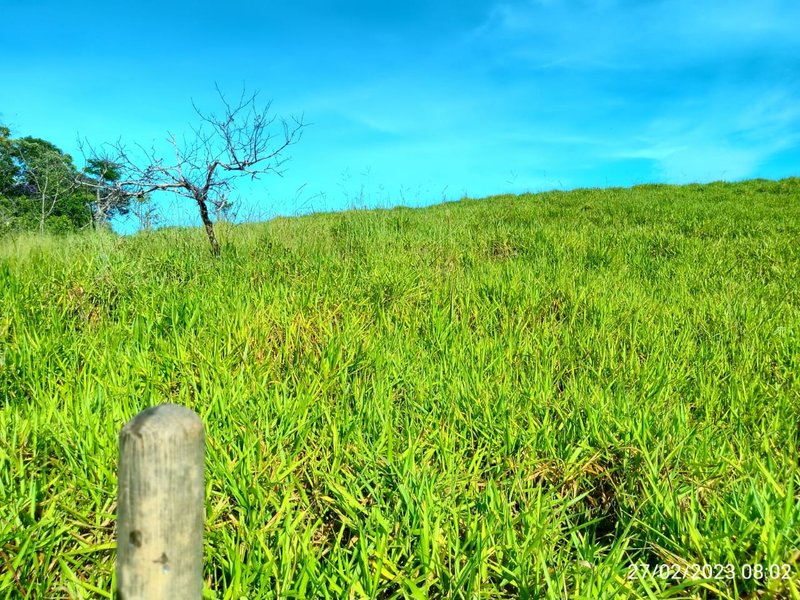 AREA COM 11.5 ALQUEIRES EM MONTEIRO LOBATO SP - MONTEIRO LOBATO - 