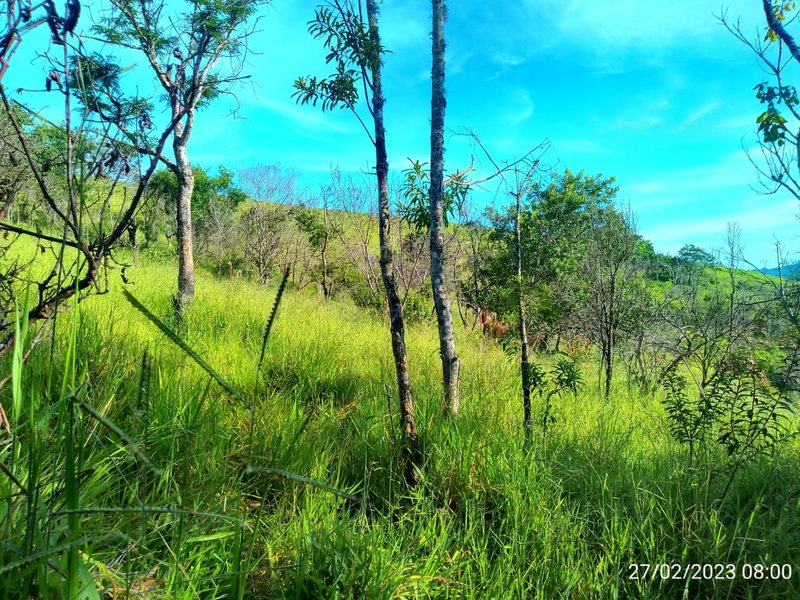 AREA COM 11.5 ALQUEIRES EM MONTEIRO LOBATO SP - MONTEIRO LOBATO - 
