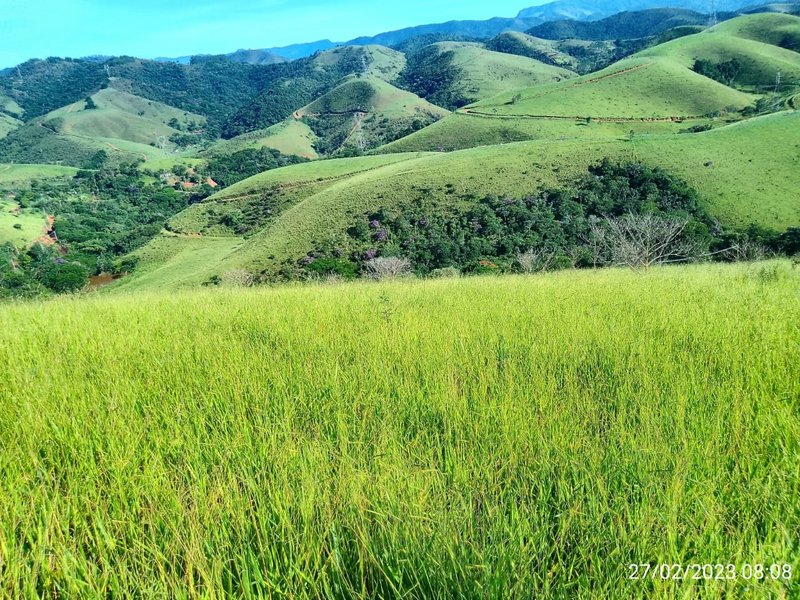 AREA COM 11.5 ALQUEIRES EM MONTEIRO LOBATO SP - MONTEIRO LOBATO - 
