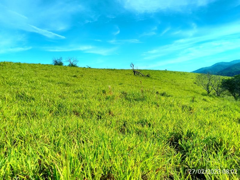 AREA COM 11.5 ALQUEIRES EM MONTEIRO LOBATO SP - MONTEIRO LOBATO - 