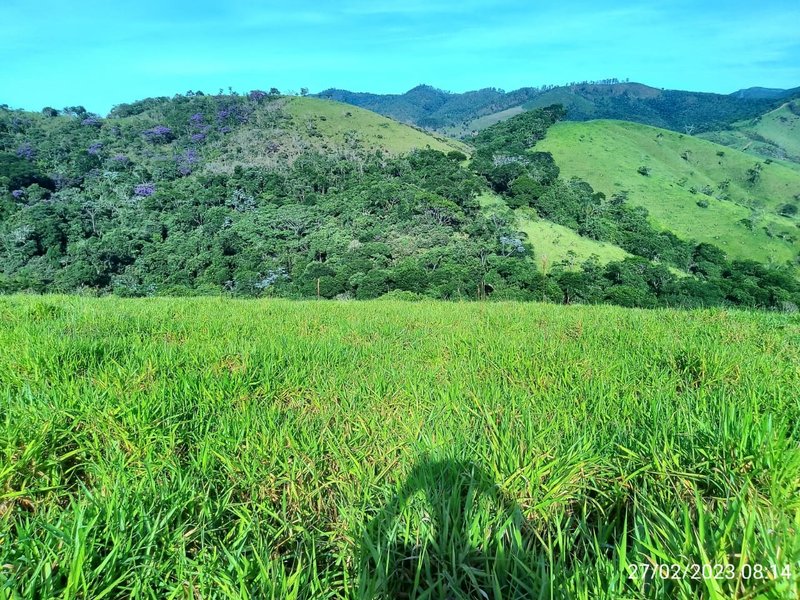 AREA COM 11.5 ALQUEIRES EM MONTEIRO LOBATO SP - MONTEIRO LOBATO - 