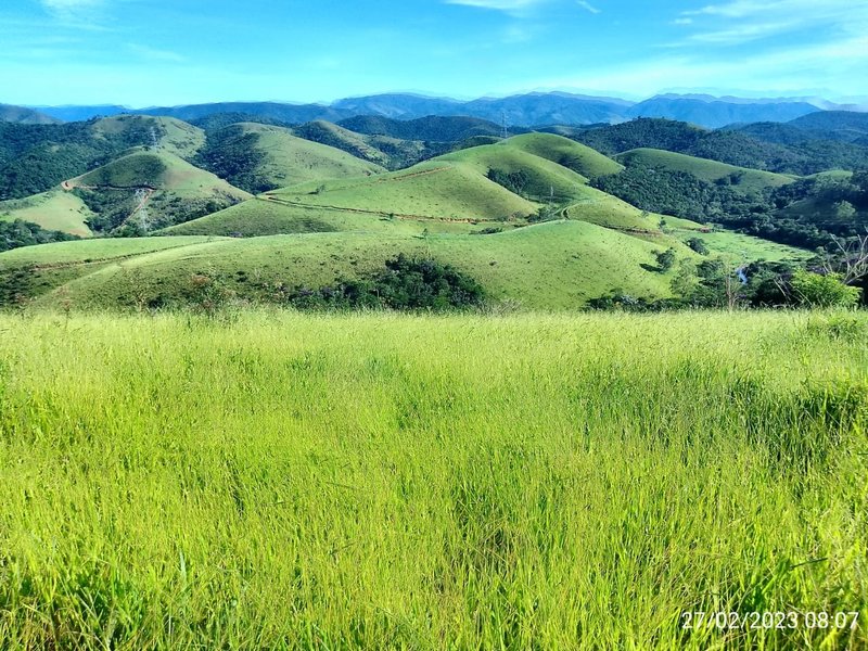 AREA COM 11.5 ALQUEIRES EM MONTEIRO LOBATO SP - MONTEIRO LOBATO - 