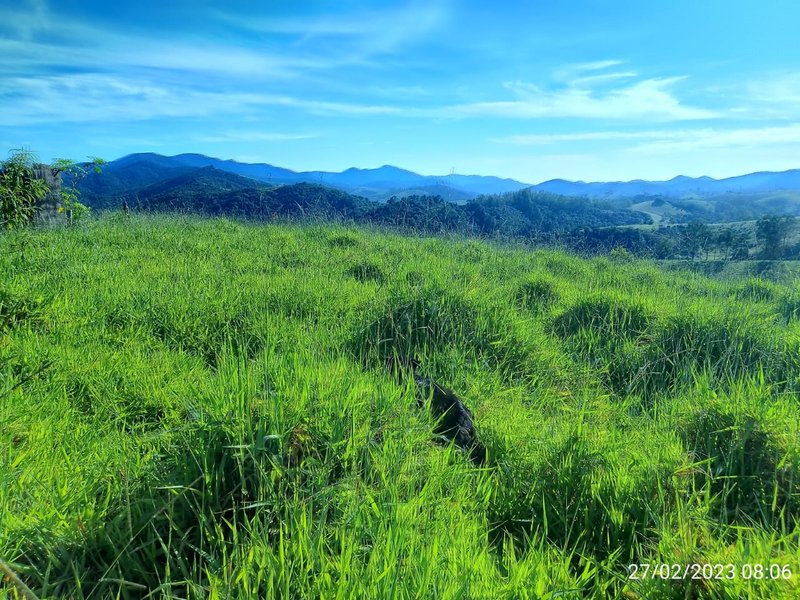 AREA COM 11.5 ALQUEIRES EM MONTEIRO LOBATO SP - MONTEIRO LOBATO - 