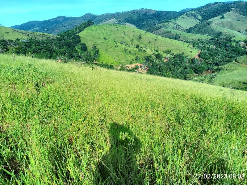 AREA COM 11.5 ALQUEIRES EM MONTEIRO LOBATO SP - MONTEIRO LOBATO - 