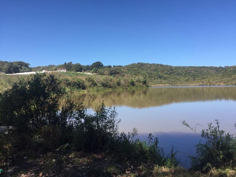 FAZENDA COM 179 HECTARES EM POUSO ALEGRE/MINAS GERAIS - Pouso Alegre - 