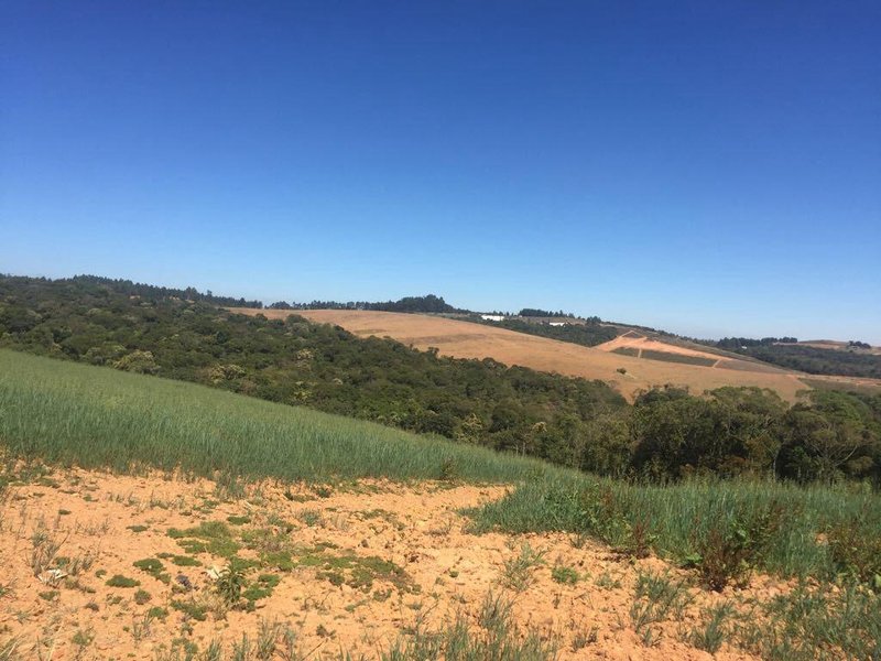 FAZENDA COM 179 HECTARES EM POUSO ALEGRE/MINAS GERAIS - Pouso Alegre - 