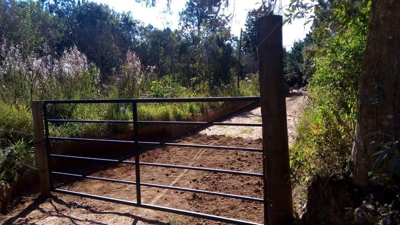 FAZENDA COM 179 HECTARES EM POUSO ALEGRE/MINAS GERAIS - Pouso Alegre - 