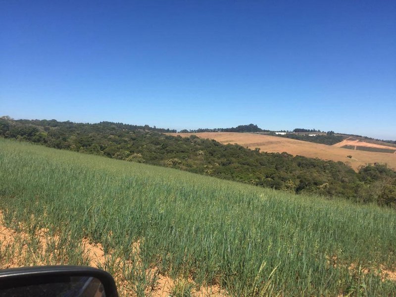 FAZENDA COM 179 HECTARES EM POUSO ALEGRE/MINAS GERAIS - Pouso Alegre - 