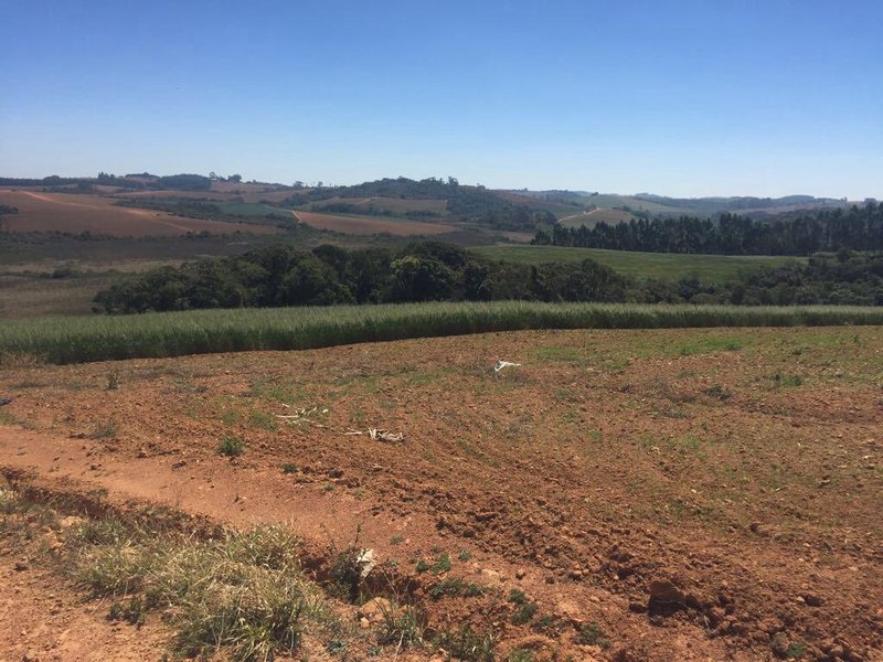 FAZENDA COM 179 HECTARES EM POUSO ALEGRE/MINAS GERAIS - Pouso Alegre - 