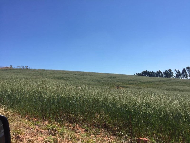 FAZENDA COM 179 HECTARES EM POUSO ALEGRE/MINAS GERAIS - Pouso Alegre - 