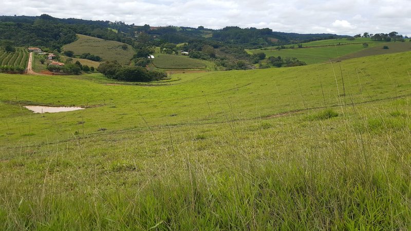 FAZENDA COM 107 ALQUIRES EM POUSO ALEGRE MG - Pouso Alegre - 