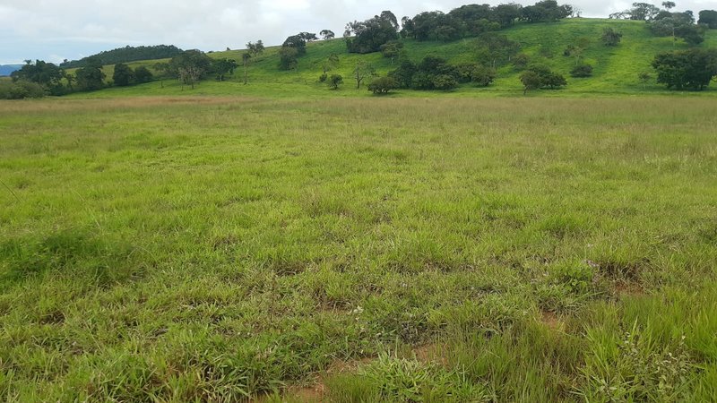 FAZENDA COM 107 ALQUIRES EM POUSO ALEGRE MG - Pouso Alegre - 