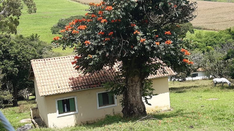 FAZENDA COM 107 ALQUIRES EM POUSO ALEGRE MG - Pouso Alegre - 