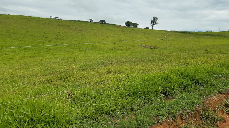 FAZENDA COM 107 ALQUIRES EM POUSO ALEGRE MG - Pouso Alegre - 