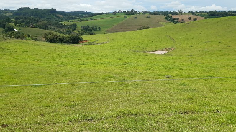 FAZENDA COM 107 ALQUIRES EM POUSO ALEGRE MG - Pouso Alegre - 