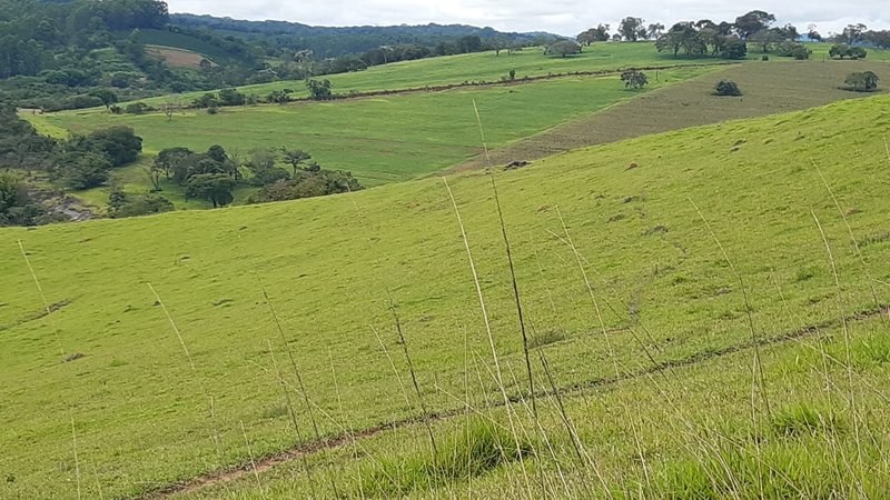 FAZENDA COM 107 ALQUIRES EM POUSO ALEGRE MG - Pouso Alegre - 