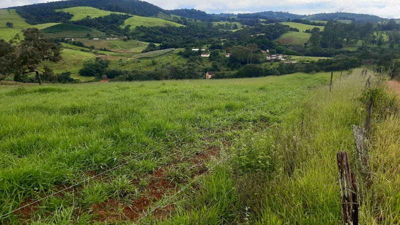 FAZENDA COM 107 ALQUIRES EM POUSO ALEGRE MG - Pouso Alegre - 