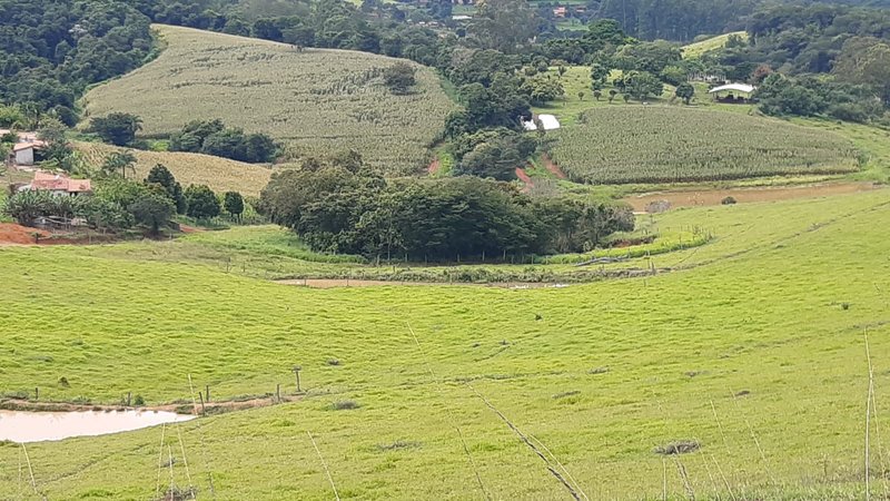 FAZENDA COM 107 ALQUIRES EM POUSO ALEGRE MG - Pouso Alegre - 