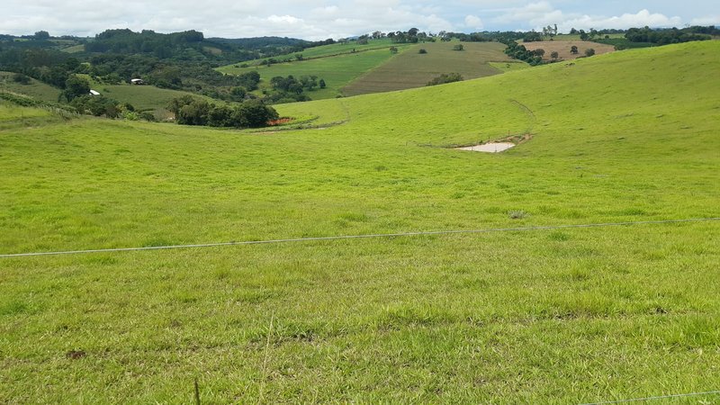 FAZENDA COM 107 ALQUIRES EM POUSO ALEGRE MG - Pouso Alegre - 