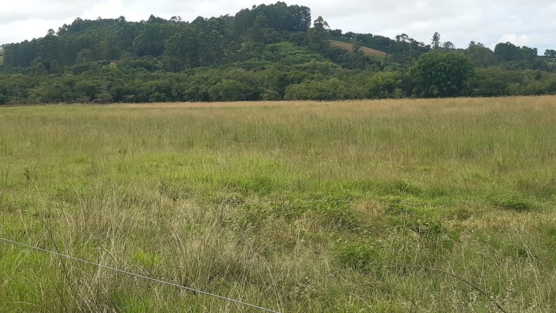 FAZENDA COM 107 ALQUIRES EM POUSO ALEGRE MG - Pouso Alegre - 