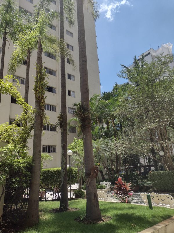Apartamento à venda  1 quarto, Moema, São Paulo - R$ 1.48 mi Avenida Macuco São Paulo - 