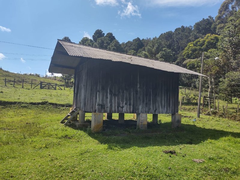 FAZENDA COM 83 ALQUEIRES EM DELFIM MOREIRA/MINAS GERAIS - DELFIM MOREIRA - 
