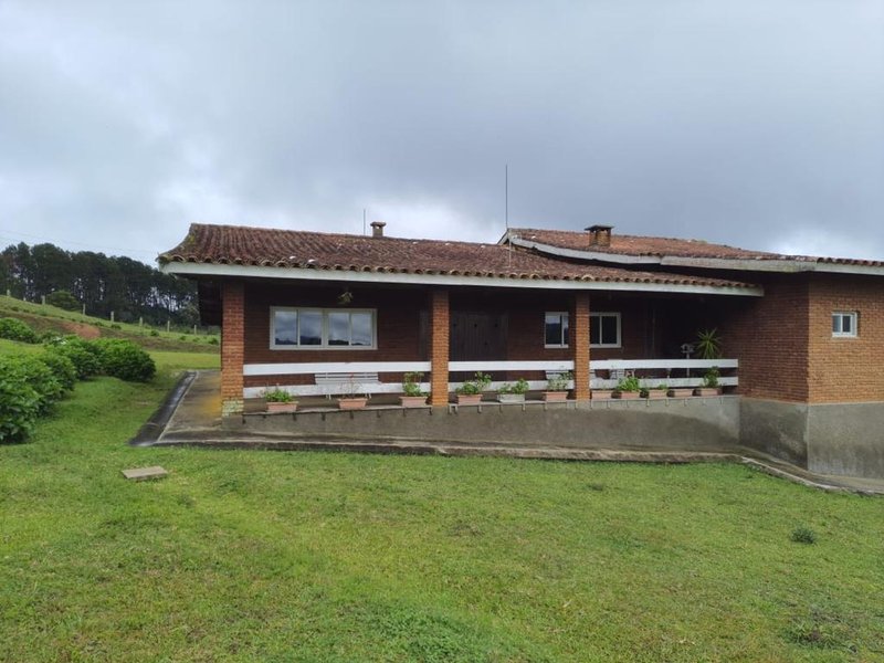 FAZENDA COM 83 ALQUEIRES EM DELFIM MOREIRA/MINAS GERAIS - DELFIM MOREIRA - 