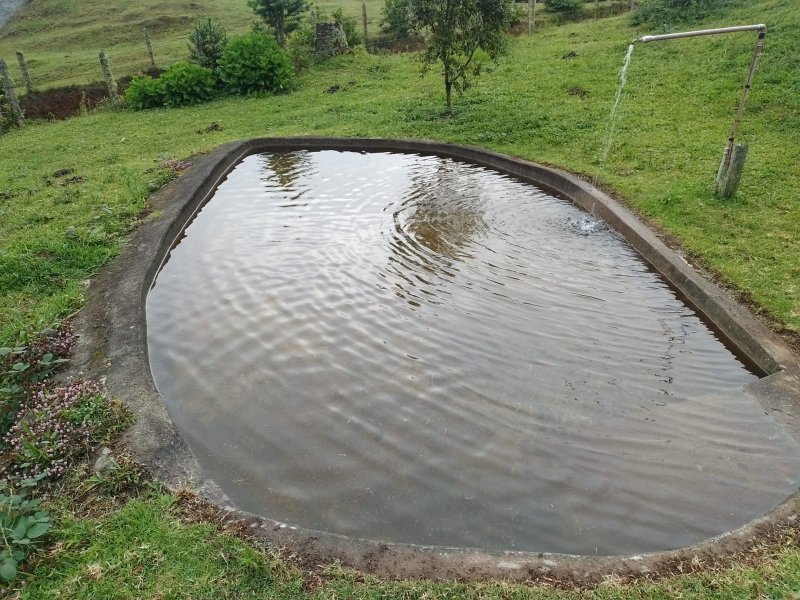 FAZENDA COM 83 ALQUEIRES EM DELFIM MOREIRA/MINAS GERAIS - DELFIM MOREIRA - 