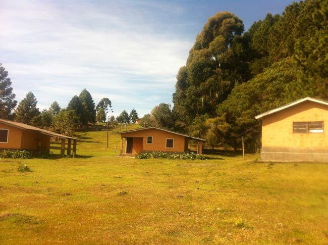 FAZENDA COM 83 ALQUEIRES EM DELFIM MOREIRA/MINAS GERAIS - DELFIM MOREIRA - 