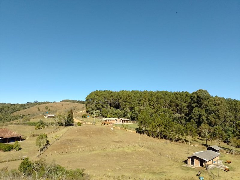 FAZENDA COM 83 ALQUEIRES EM DELFIM MOREIRA/MINAS GERAIS - DELFIM MOREIRA - 