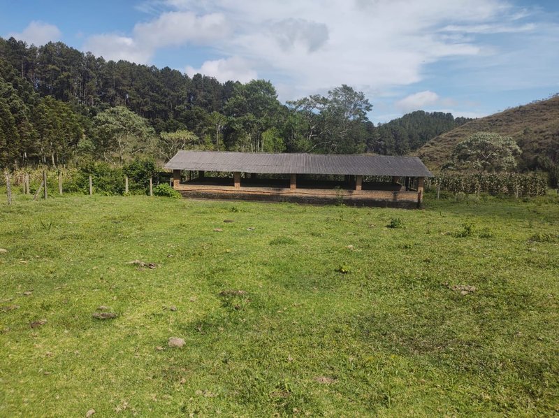 FAZENDA COM 83 ALQUEIRES EM DELFIM MOREIRA/MINAS GERAIS - DELFIM MOREIRA - 