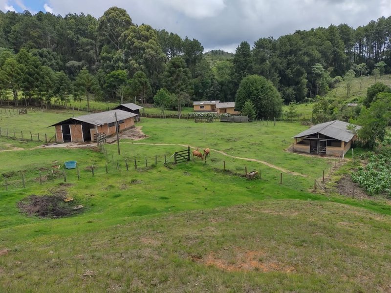 FAZENDA COM 83 ALQUEIRES EM DELFIM MOREIRA/MINAS GERAIS - DELFIM MOREIRA - 