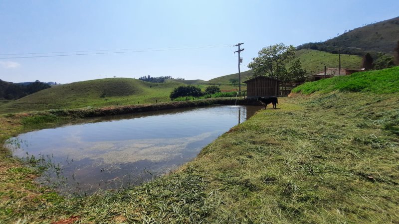 FAZENDA COM 83 ALQUEIRES EM DELFIM MOREIRA/MINAS GERAIS - DELFIM MOREIRA - 