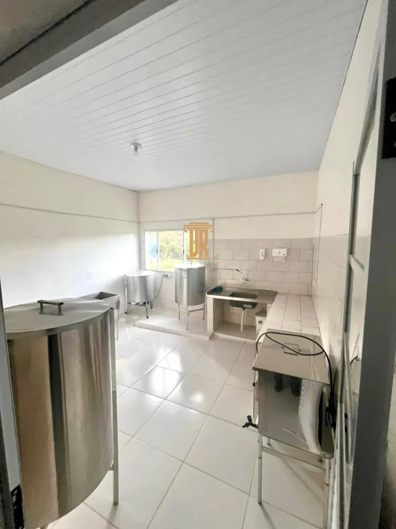 FAZENDA COM 192 HECTARES EM DELFIM MOREIRA/MINAS GERAIS  Delfim Moreira - 