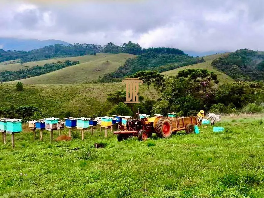 FAZENDA COM 192 HECTARES EM DELFIM MOREIRA/MINAS GERAIS  Delfim Moreira - 