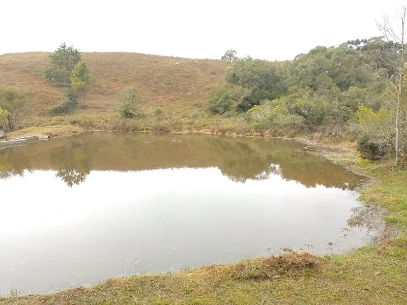 FAZENDA COM 83 ALQUEIRES EM DELFIM MOREIRA/MINAS GERAIS - DELFIM MOREIRA - 