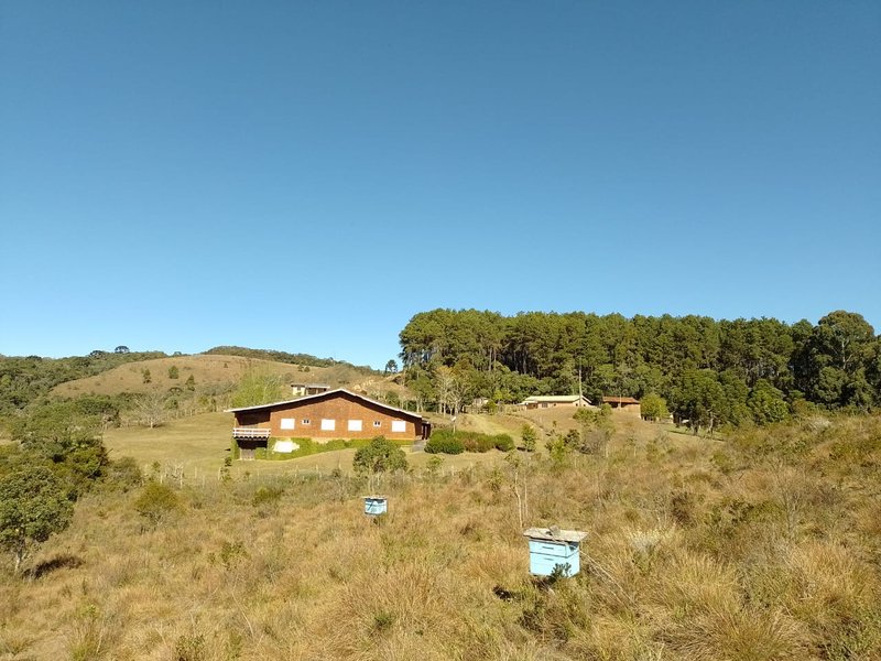 FAZENDA COM 83 ALQUEIRES EM DELFIM MOREIRA/MINAS GERAIS - DELFIM MOREIRA - 