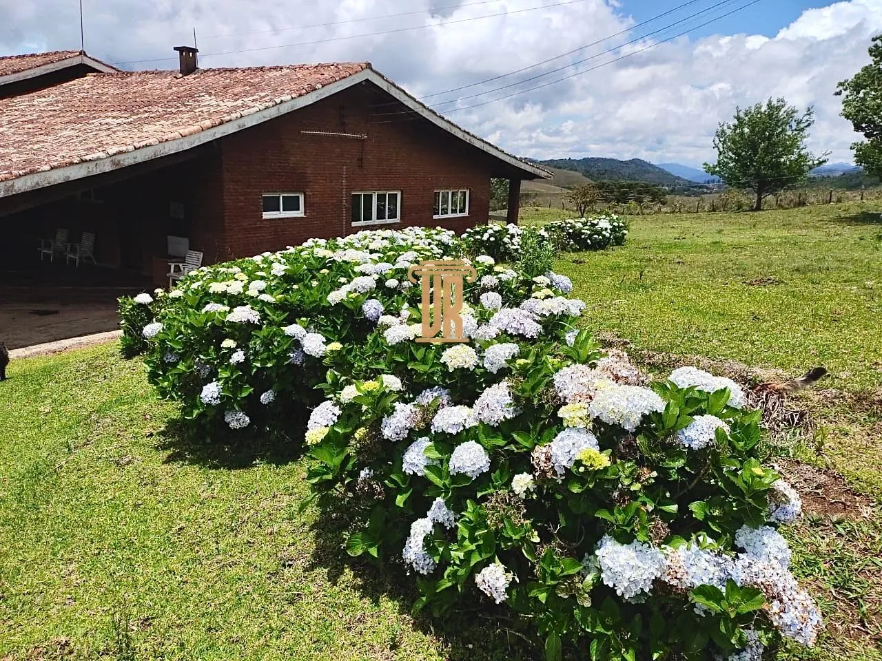 FAZENDA COM 192 HECTARES EM DELFIM MOREIRA/MINAS GERAIS  Delfim Moreira - 