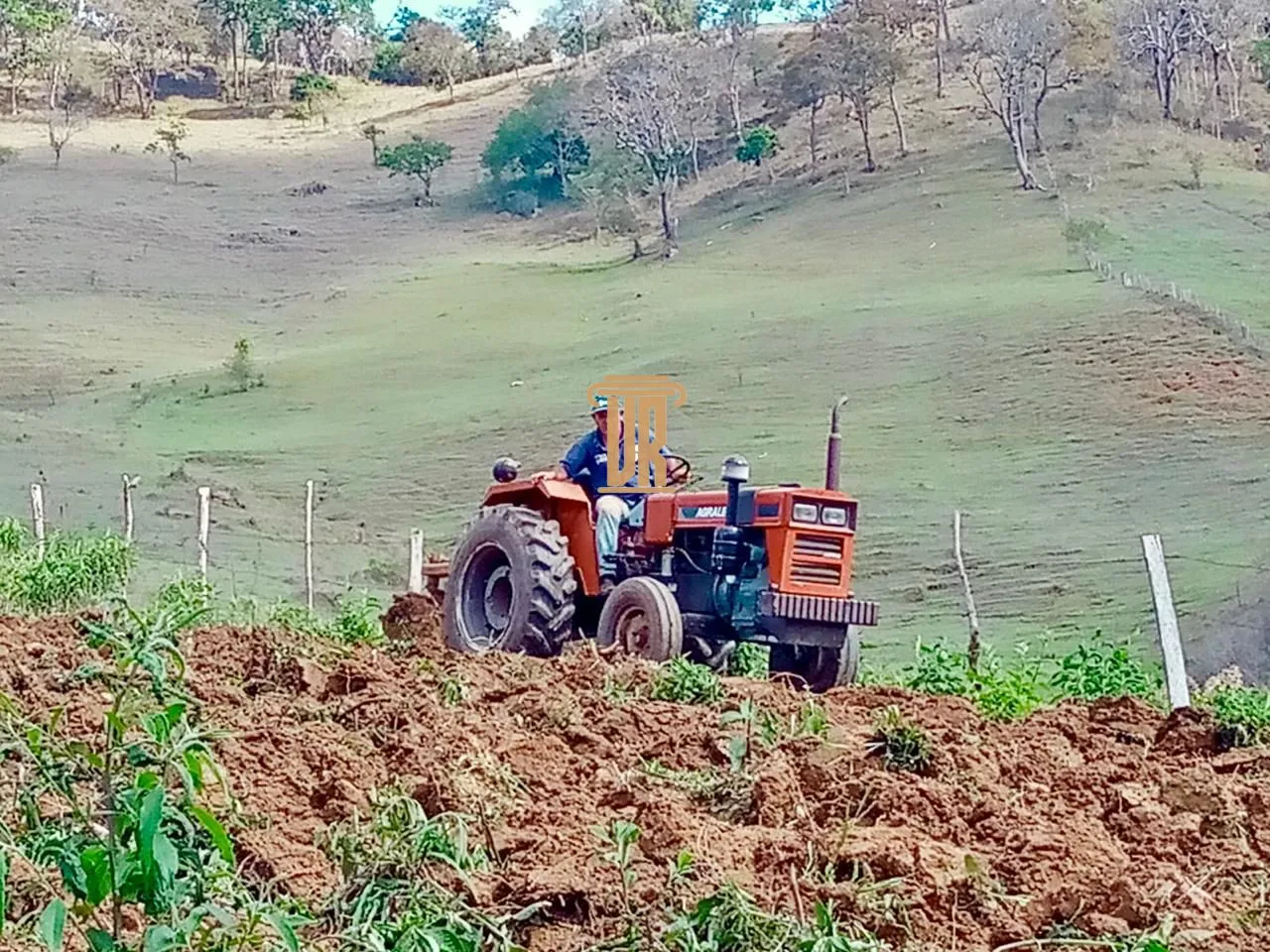 FAZENDA COM 192 HECTARES EM DELFIM MOREIRA/MINAS GERAIS  Delfim Moreira - 